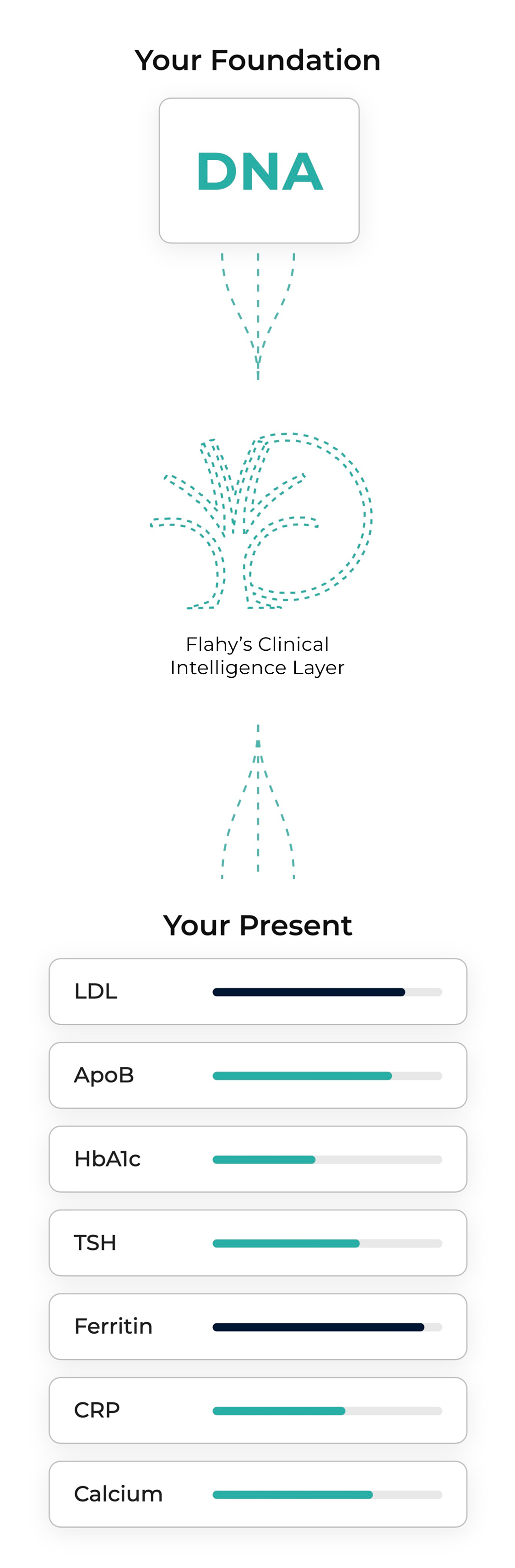 How Flahy connects your DNA to your bloodwork markers