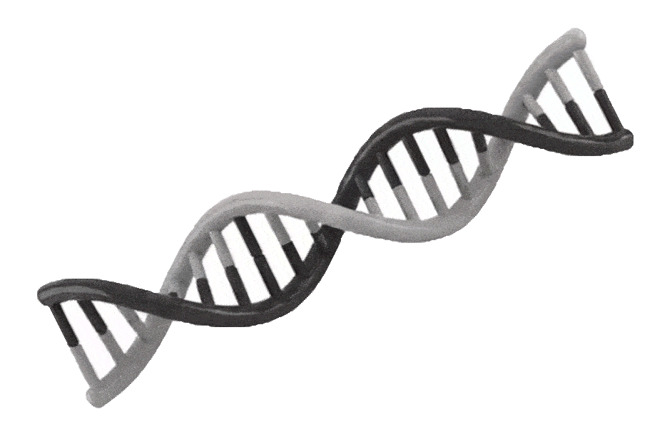 Precision Care Illustration